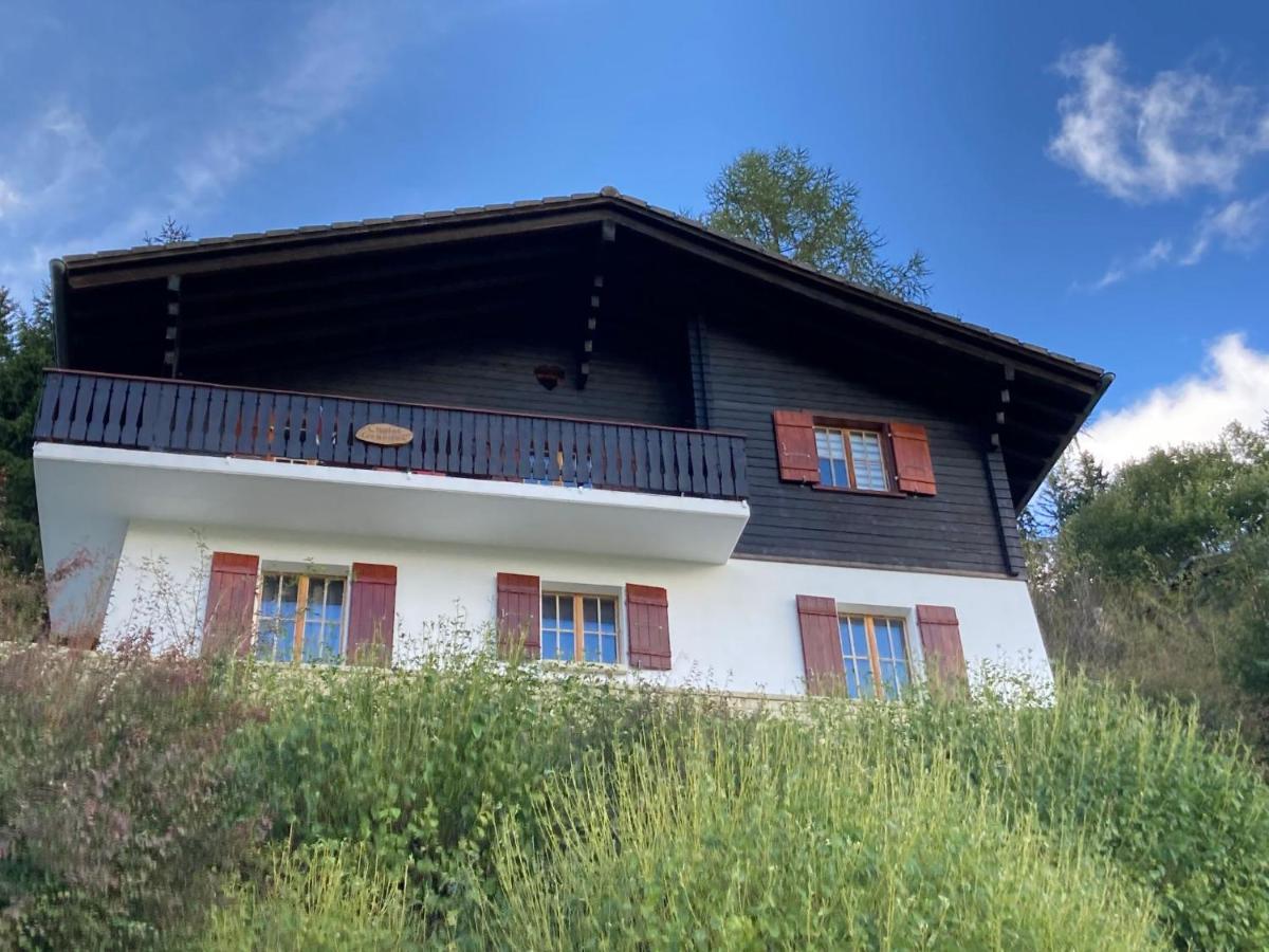 Chalet Chalet 1627 By Interhome Moleson Zewnętrze zdjęcie